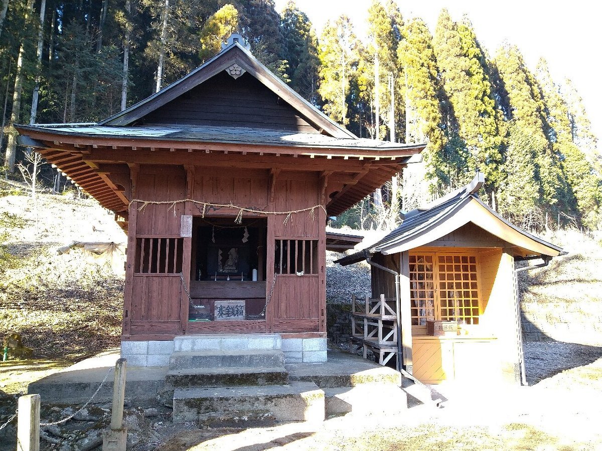 🌳 느티나무 숲(케야키노모리) 이미지 6